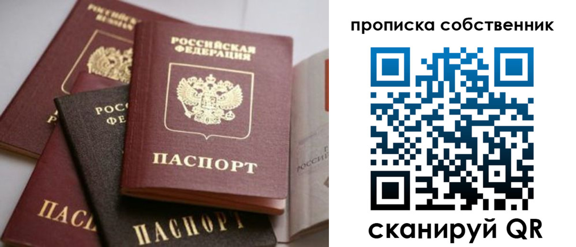 прописка для школы в Шебекино